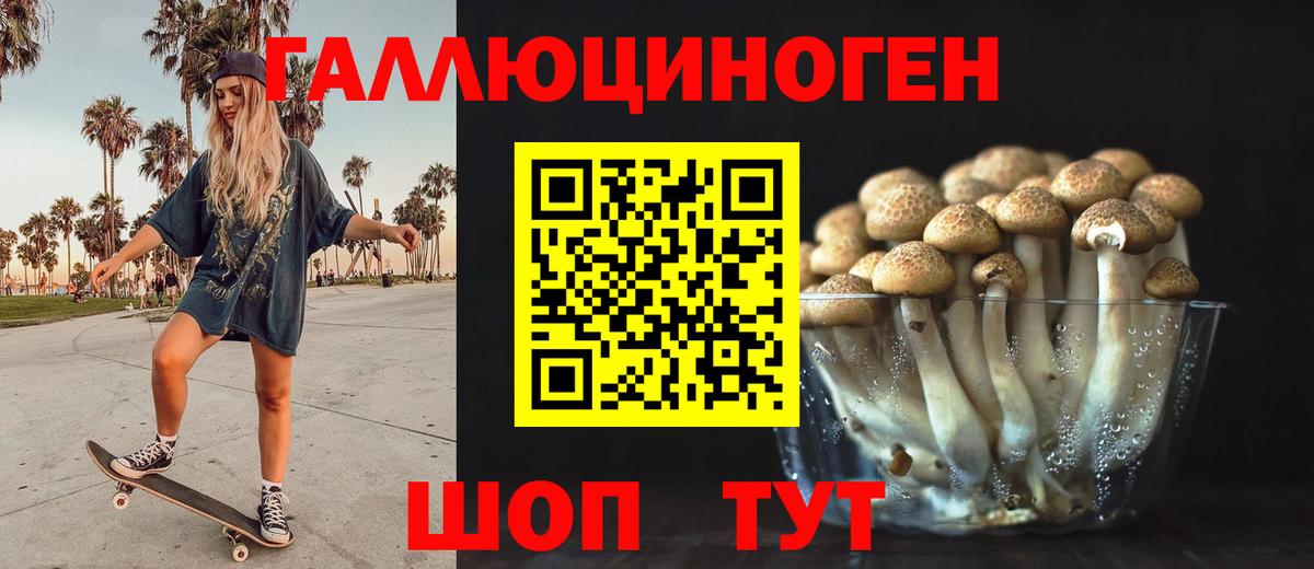 МЕФ Котлас
