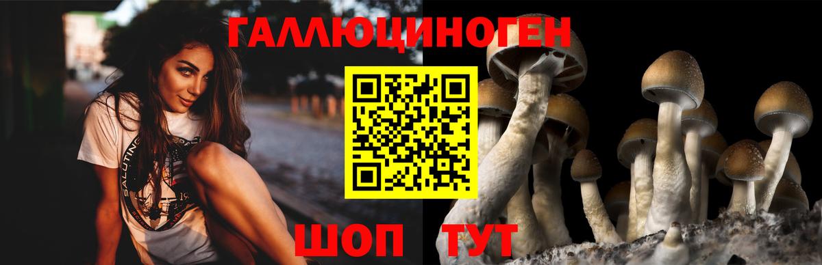 Гашиш  Героин  Каннабис  Котлас  Вход с VPN  Меф  